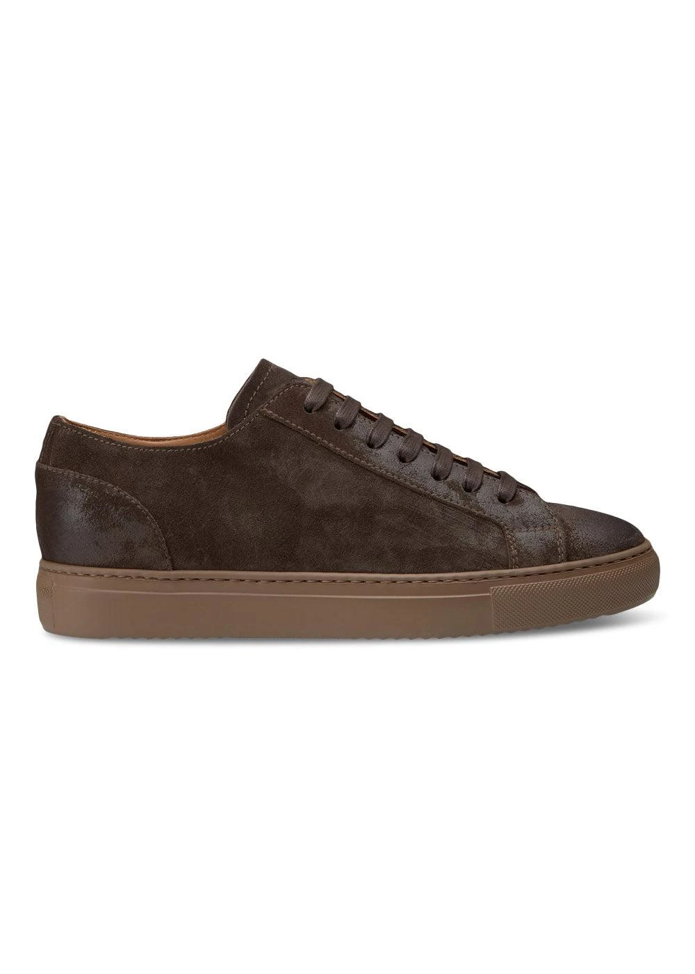Dark Brown Suede Sneaker - Brown Suede 3 Dark Brown Suede Sneaker - Brown Suede
